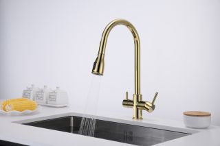 Смеситель для кухни Paulmark Lange La214212-G золото